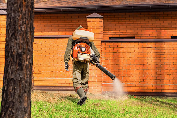 Bed Bug Clearance Verification and Documentation in Bells